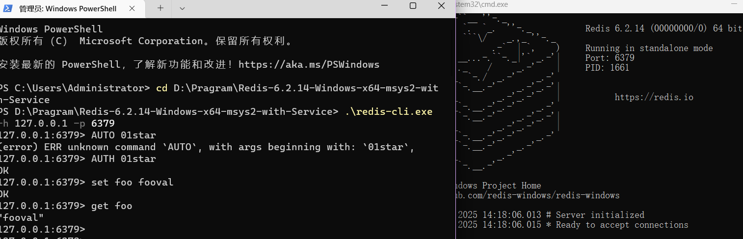Redis